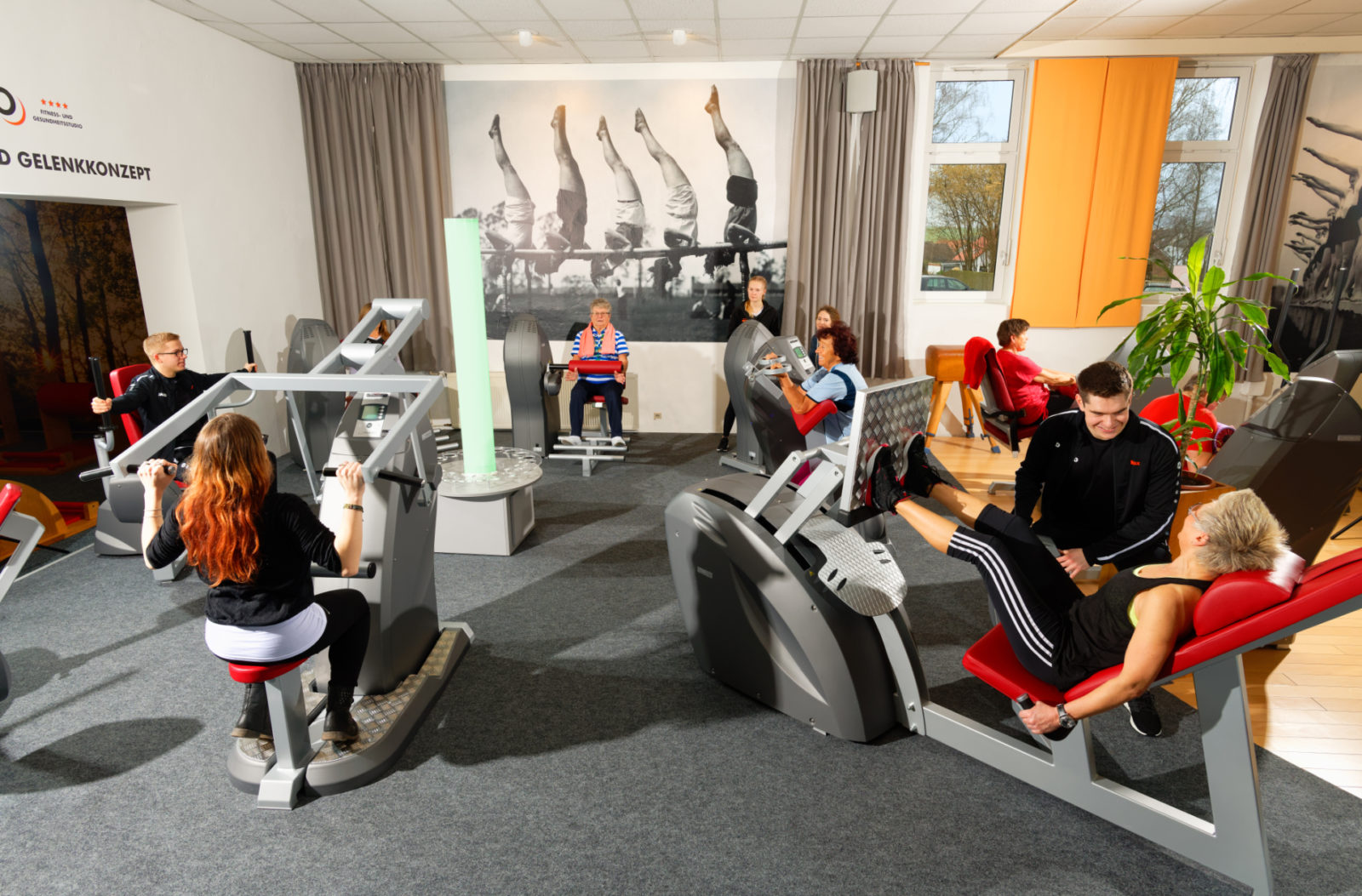 ego Fitness und Gesundheitsstudio GmbH In Steinheim